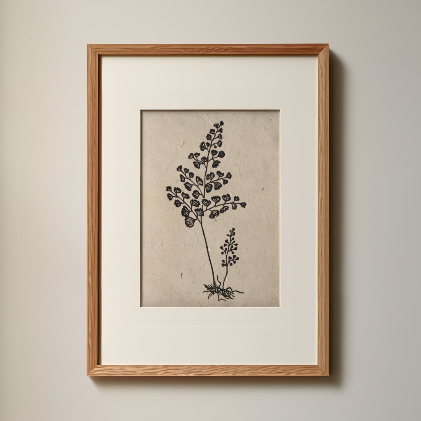 Fern II (Maidenhair)
