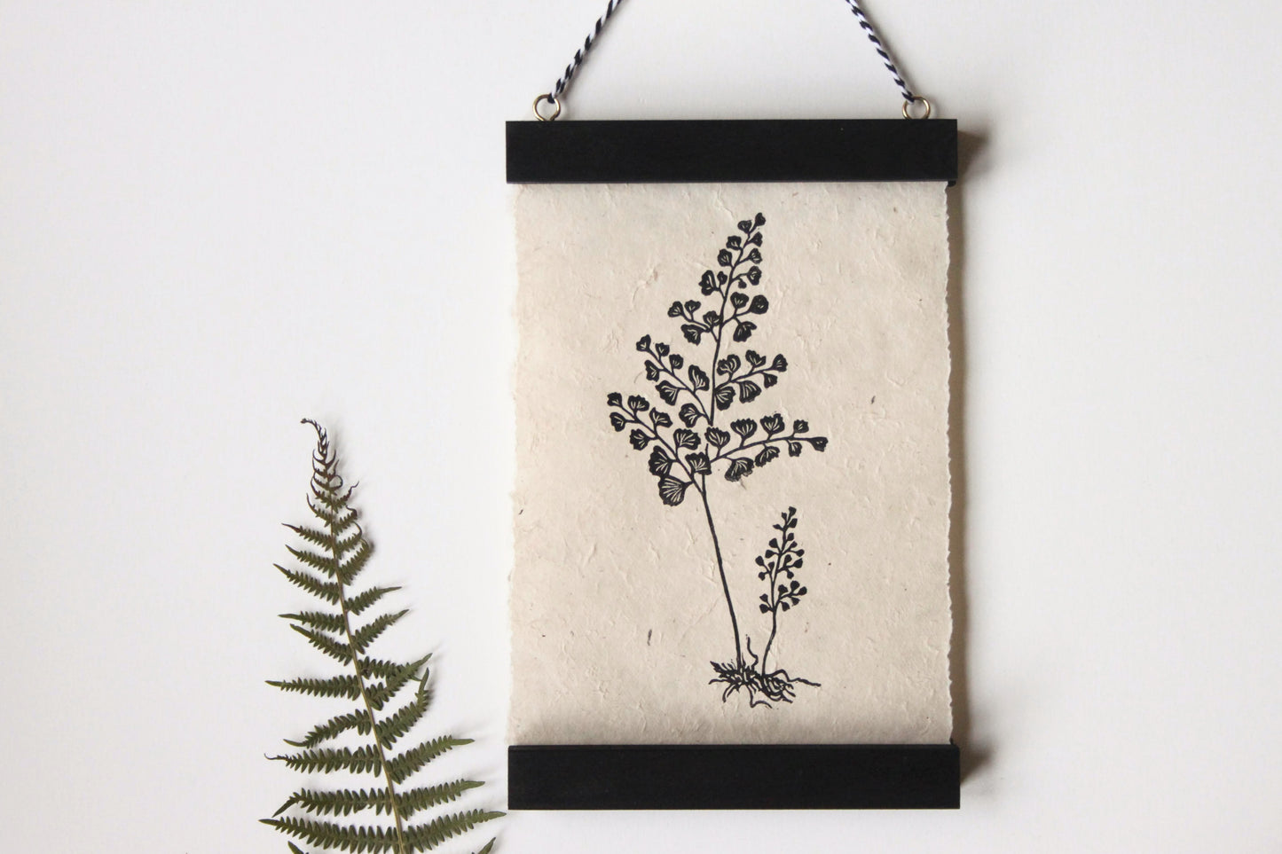 Fern II (Maidenhair)