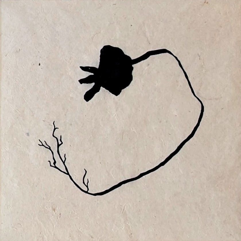 Rooted