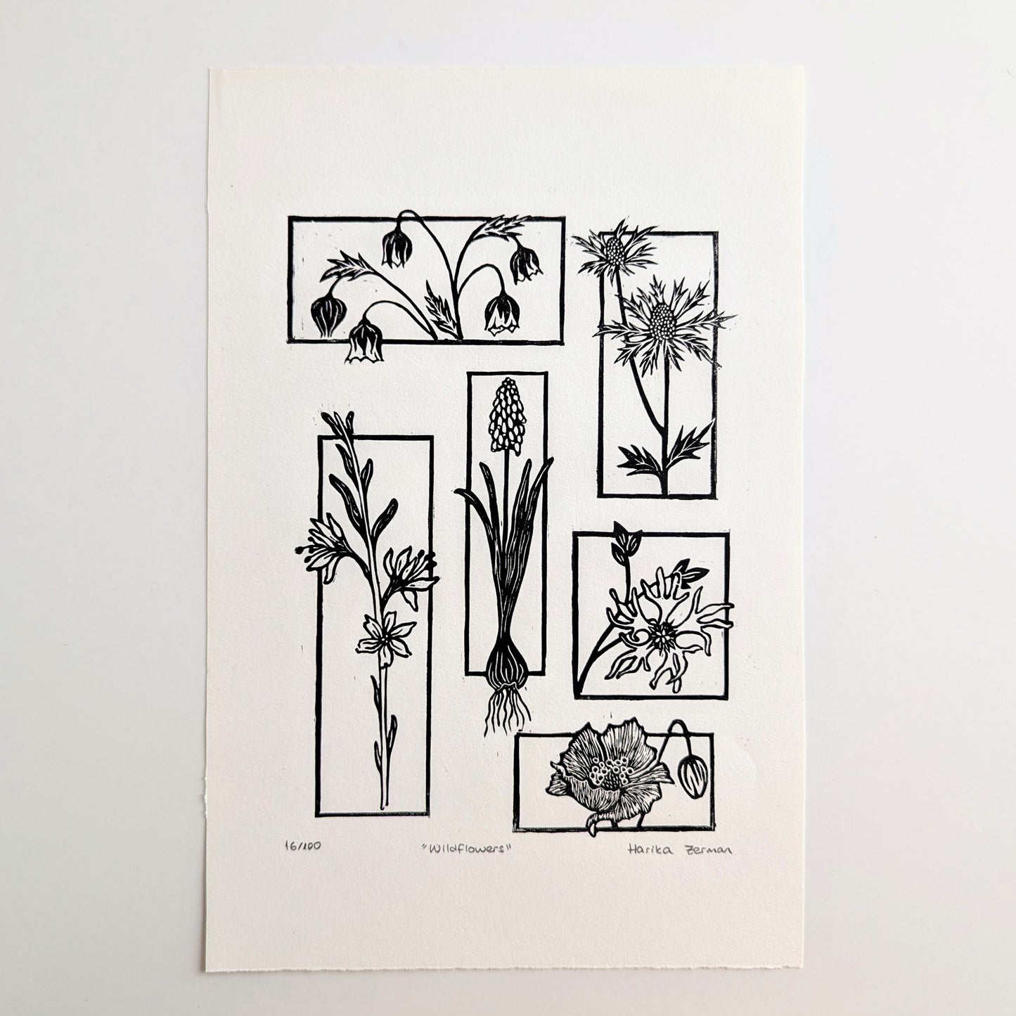 Wildflowers