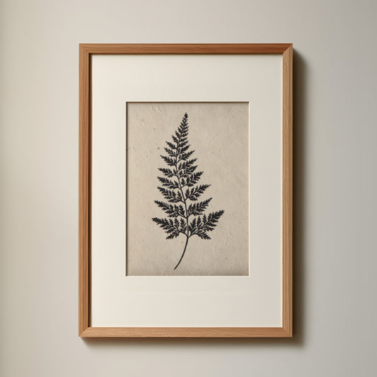 Fern I (Black Spleenwort)